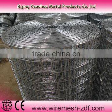 Manufacturer of 1x1/2" welded wire mesh