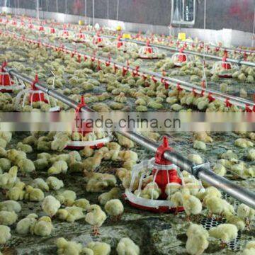 Full Set Automatic Poultry Feeding and Drinking System for Chicken