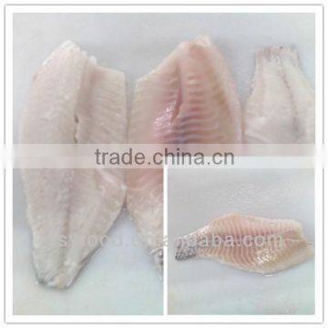 Frozen Tilapia fillet