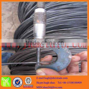 iron wire mesh price/electro galvanized iron wire