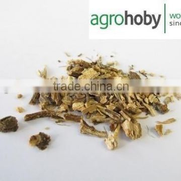 Best Turkish Echinacea Herb