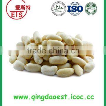 Blanched peanut price reference from shandong factory