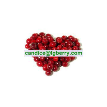 Cranberry extract OPCs