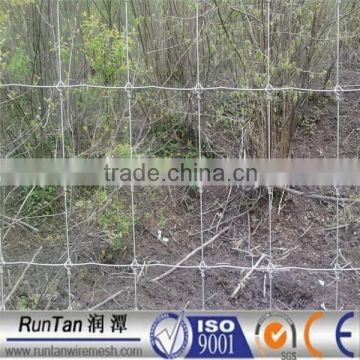 Factory hot dip galvanized deer and rabbit fencing(ISO9001,Since 1989)
