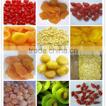 Name of all dried fruit preserves fruit snack manufacturing from china                        
                                                                Most Popular