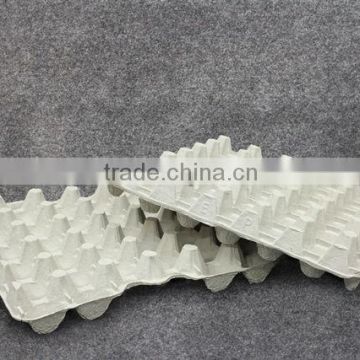 Paper Pulp Superior Quality Egg Tray
