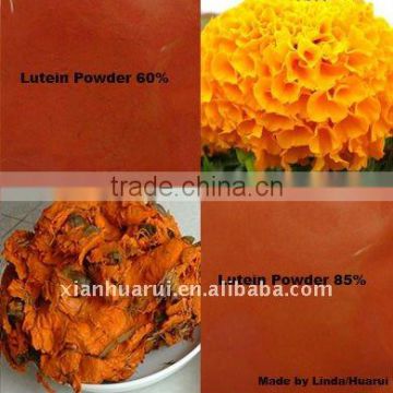 Marigold Extract Lutein Oil