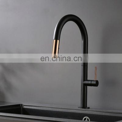 Professional brass kitchen faucet pull out