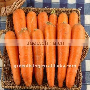 2014 new crop carrot from Shandong, China(80-150g)(150-250g up)
