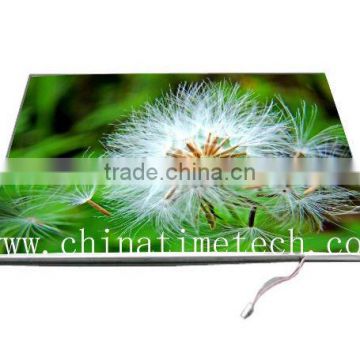 China 17.0" LCD Screens B170PW03 V.3