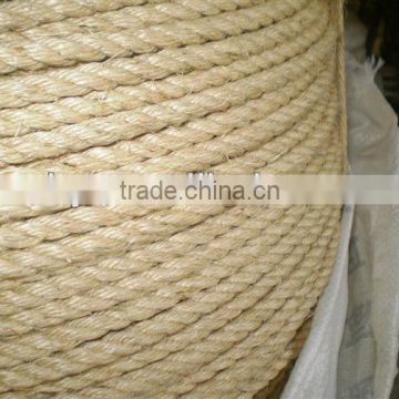 China Professional Leading Manufacturer 3 Strands 12mmPP Rope