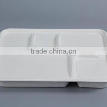 5 compartment shallow tray from sugarcane