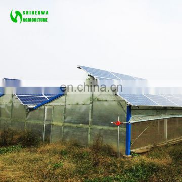 Low Cost Solar Hydroponic Greenhouse