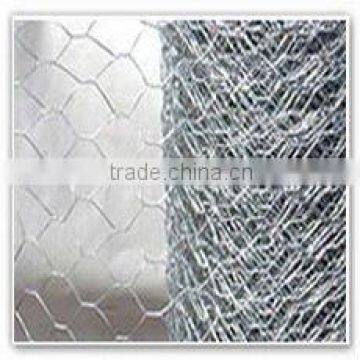 hexagonal mesh ( certification:ISO9001:2000)