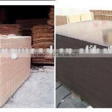 hot sale product poplar lvl