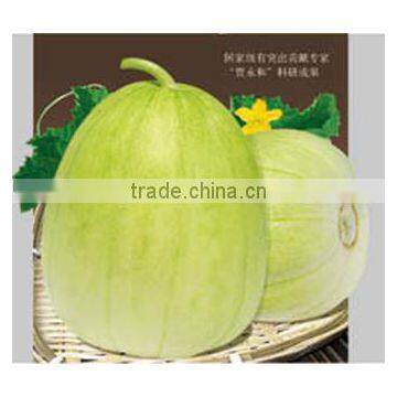 Hybrid sweet melon for growing-Fragrant honey