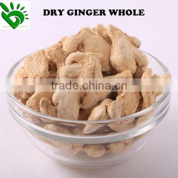 High Quality Dehydrated Whole Ginger