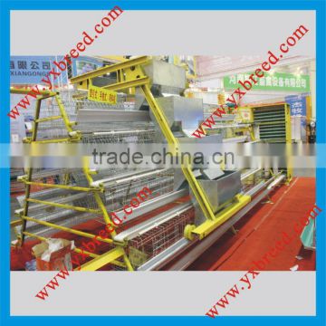 poultry layer battery cage