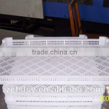 plastic injection moulding pe tray for frozen kebab /seafood