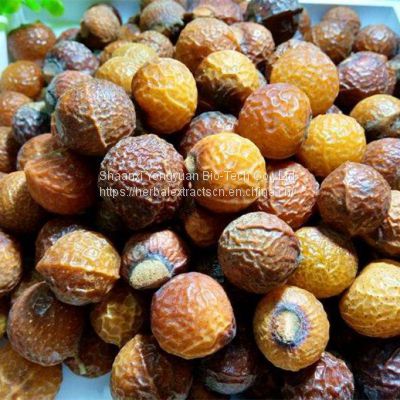 Soap Nut Extract Sapindussaponin 40% UV, Sapindus Extract, Natural cleaning ingredients, Yongyuan Bio