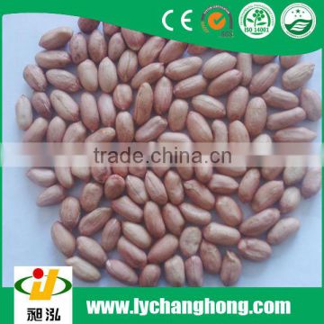 Good peanut kernel 40/50 from dongbei