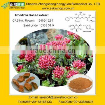 Rhodiola Rosea P.E./ 1.0%-5.0% Salidroside, 1.0%-5.0% Rosavin