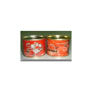 Sell Tomato Paste in 70g Can