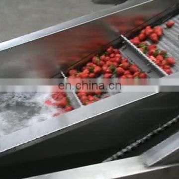 Electric Fruit Bubble Washer Apple Cleaning Tomato Vegetables  Washing Cleaning Machine