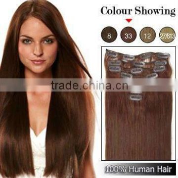Natural Remy Human Hair Clip In Hair Extensions