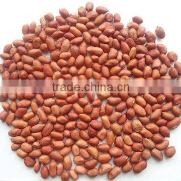 2015 crop red skin peanut kernel 50/60