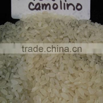US Calarose Camilino Rice