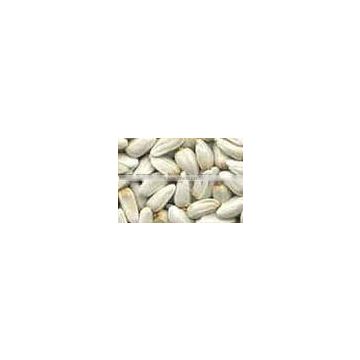 Safflower Seeds for Bird Feed/Oil