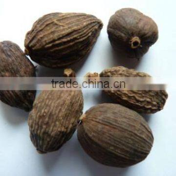 Premium Black Cardamom (website:visimex02)