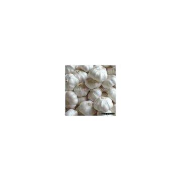 Sell Pure White Garlic