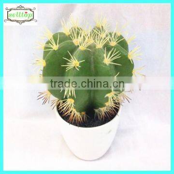 21cm high quality real touch artificial cactus and succulent