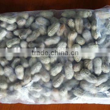 IQF frozen Peanuts with hot price