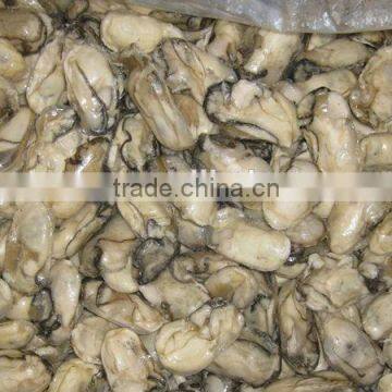 frozen fresh oyster meat seafood wholesale