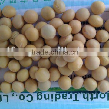 Yellow Soybean/soya bean, soybeans( New crop, heilongjiang origin)