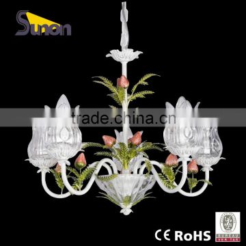 SD1080-5 countryside style wrought iron decorative light / chandelier