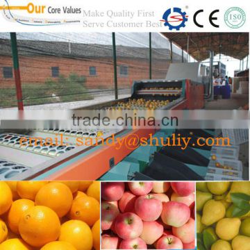 Hot sale citrus fruits sorting machine
