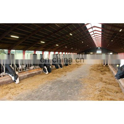 Farming house building low cost steel fabrication prefabricated cow shed