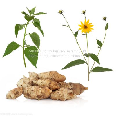 Chicory Root extract, Helianthus Tuberosus Extract, Inulin 90% white powder, Yongyuan Bio
