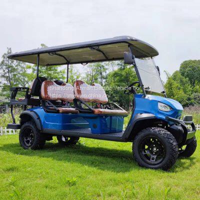 4 + 2 electric golf cart, sightseeing car 6 seats