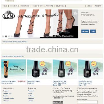 Perfect E-Commerce Website Design With Shopping Cart