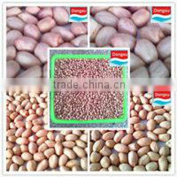 organic peanut kernels baisha 50/60