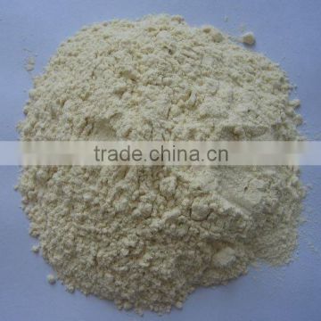 China White onion powder producer