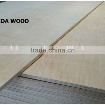 China birch plywood