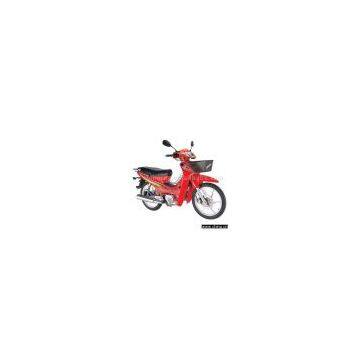 Sell 110cc Motorcycle with EEC Approval