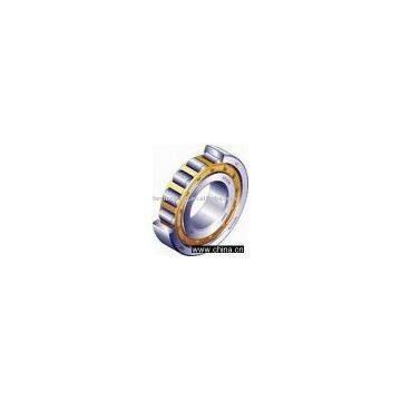 Cylindrical Roller Bearings