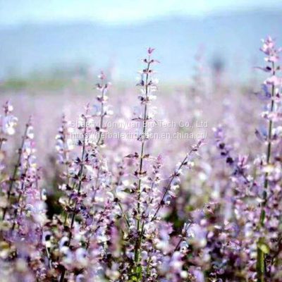 Sclareolide 98% GC, Norambreinolide, Salvia sclarea Extract, CAS NO.: 564-20-5, fragrant, Yongyuan Bio